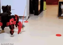 Robo e gatinho